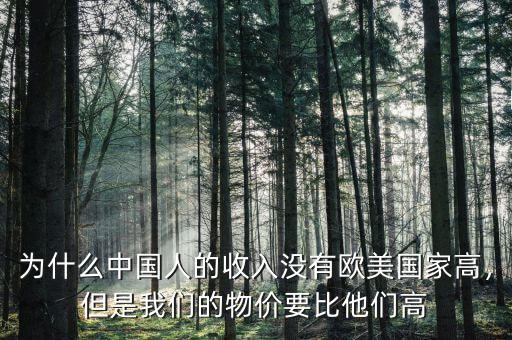 為什么中國人的收入沒有歐美國家高，但是我們的物價要比他們高