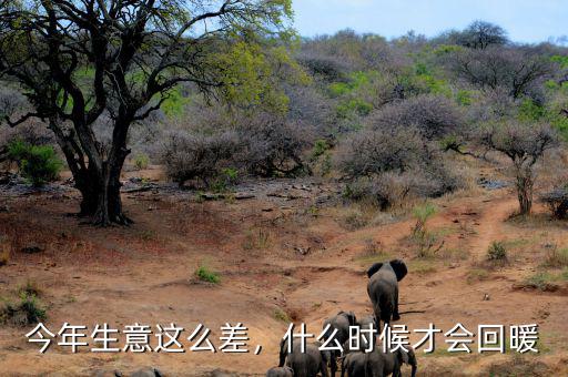 今年生意這么差，什么時(shí)候才會(huì)回暖