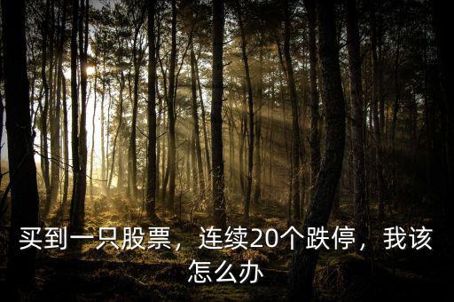 買到一只股票，連續(xù)20個跌停，我該怎么辦