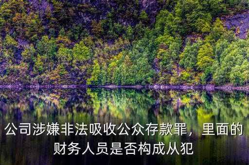 公司涉嫌非法吸收公眾存款罪，里面的財(cái)務(wù)人員是否構(gòu)成從犯
