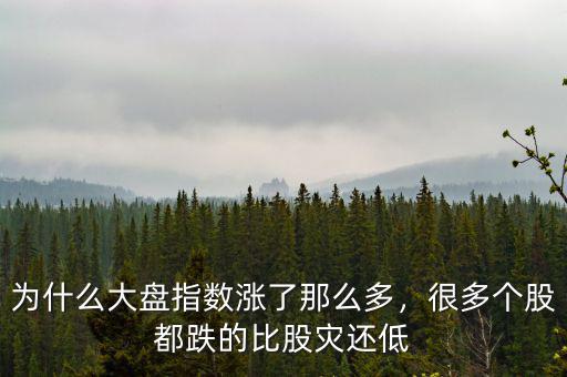 為什么大盤指數(shù)漲了那么多，很多個(gè)股都跌的比股災(zāi)還低