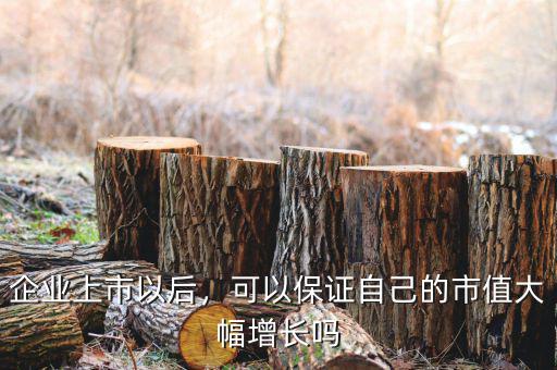 企業(yè)上市以后，可以保證自己的市值大幅增長嗎