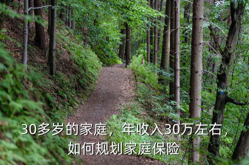 30多歲的家庭，年收入30萬左右，如何規(guī)劃家庭保險