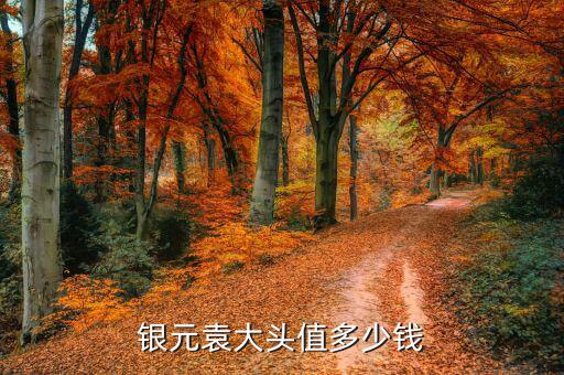 鷹揚銀幣多少錢,現在一個銀元值多少錢