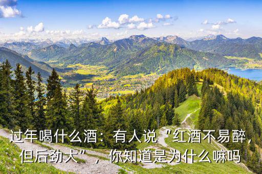 過年喝什么酒：有人說“紅酒不易醉，但后勁大”，你知道是為什么嘛嗎
