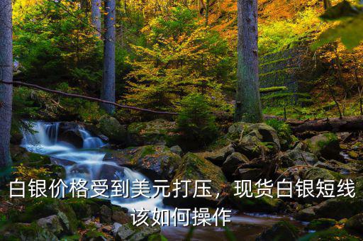 白銀價(jià)格受到美元打壓，現(xiàn)貨白銀短線該如何操作