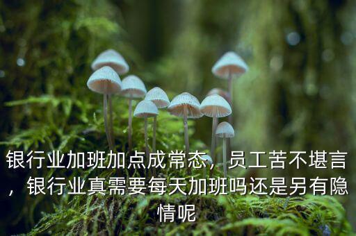 銀行業(yè)加班加點成常態(tài)，員工苦不堪言，銀行業(yè)真需要每天加班嗎還是另有隱情呢