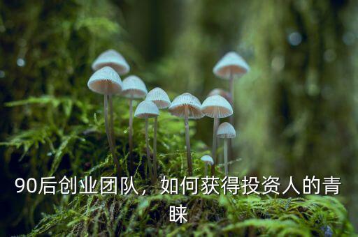 90后創(chuàng)業(yè)團隊，如何獲得投資人的青睞