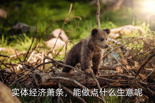 實體經(jīng)濟蕭條，能做點什么生意呢
