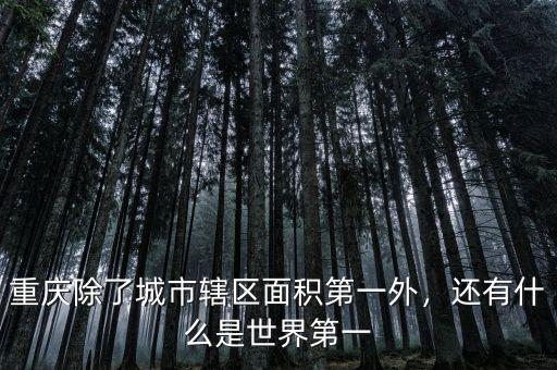 重慶除了城市轄區(qū)面積第一外，還有什么是世界第一