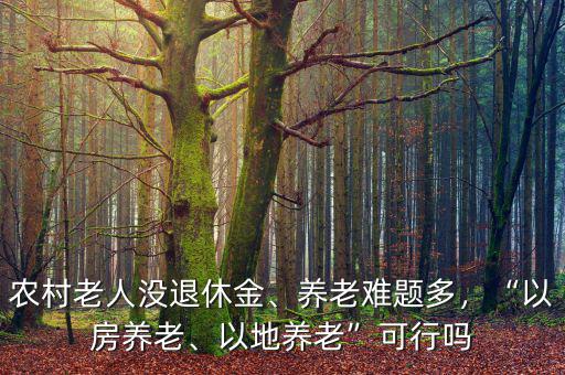 農(nóng)村老人沒退休金、養(yǎng)老難題多，“以房養(yǎng)老、以地養(yǎng)老”可行嗎