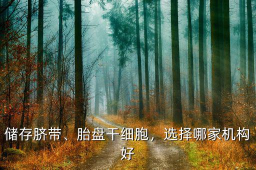 儲(chǔ)存臍帶、胎盤干細(xì)胞，選擇哪家機(jī)構(gòu)好