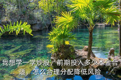 我想學(xué)一學(xué)炒股，前期投入多少本金合適，怎么合理分配降低風(fēng)險(xiǎn)