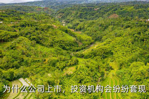 為什么公司上市，投資機(jī)構(gòu)會(huì)紛紛套現(xiàn)