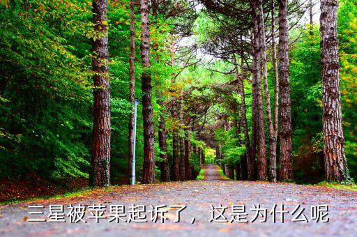 三星被蘋果起訴了，這是為什么呢
