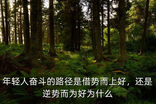 年輕人奮斗的路徑是借勢(shì)而上好，還是逆勢(shì)而為好為什么