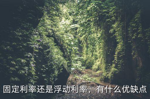 固定利率還是浮動利率，有什么優(yōu)缺點
