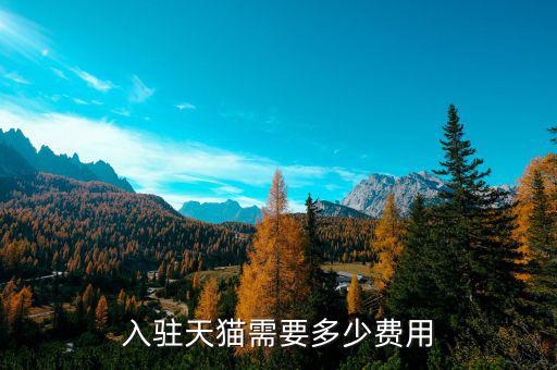 天貓進(jìn)場費(fèi)多少,開一個天貓旗艦店需要多少錢