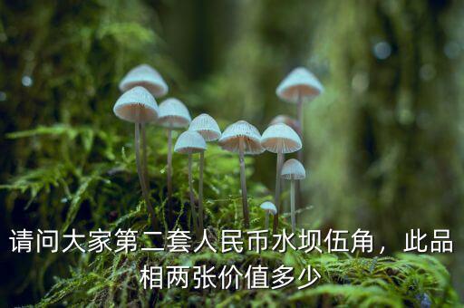 請問大家第二套人民幣水壩伍角，此品相兩張價(jià)值多少