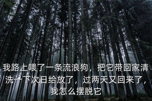 我路上喂了一條流浪狗，把它帶回家清洗一下次日給放了，過(guò)兩天又回來(lái)了，我怎么擺脫它