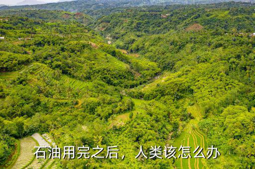 石油用完之后，人類該怎么辦