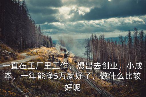 一直在工廠里工作，想出去創(chuàng)業(yè)，小成本，一年能掙5萬就好了，做什么比較好呢