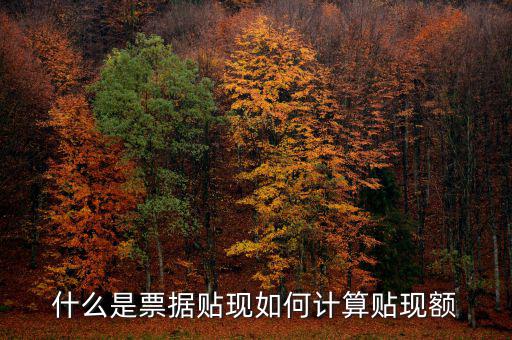 什么是票據貼現(xiàn)如何計算貼現(xiàn)額
