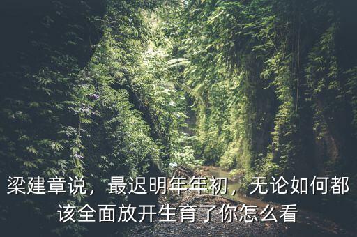 梁建章說(shuō)，最遲明年年初，無(wú)論如何都該全面放開(kāi)生育了你怎么看