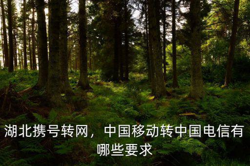 湖北攜號轉(zhuǎn)網(wǎng)，中國移動轉(zhuǎn)中國電信有哪些要求