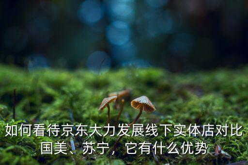 如何看待京東大力發(fā)展線下實(shí)體店對(duì)比國(guó)美、蘇寧，它有什么優(yōu)勢(shì)