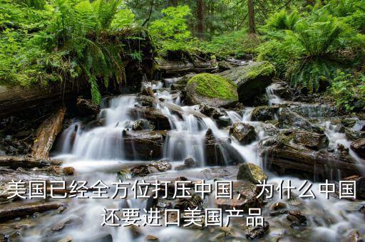 美國(guó)已經(jīng)全方位打壓中國(guó)，為什么中國(guó)還要進(jìn)口美國(guó)產(chǎn)品