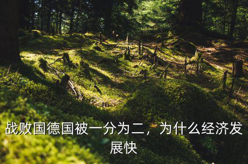 戰(zhàn)敗國(guó)德國(guó)被一分為二，為什么經(jīng)濟(jì)發(fā)展快