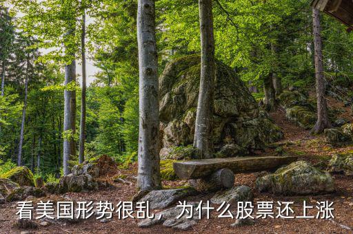 看美國形勢很亂，為什么股票還上漲