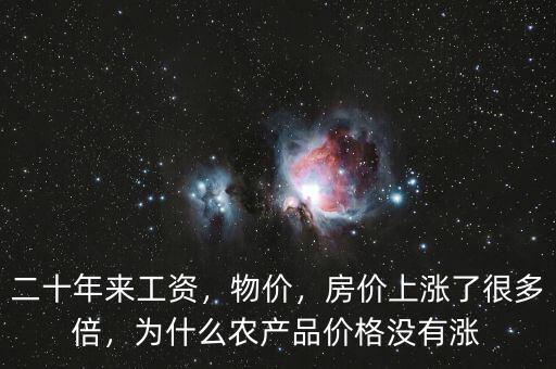 二十年來工資，物價(jià)，房價(jià)上漲了很多倍，為什么農(nóng)產(chǎn)品價(jià)格沒有漲