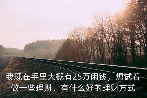 我現(xiàn)在手里大概有25萬閑錢，想試著做一些理財，有什么好的理財方式