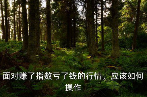 面對賺了指數(shù)虧了錢的行情，應(yīng)該如何操作