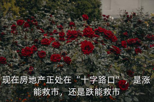 現(xiàn)在房地產(chǎn)正處在“十字路口”，是漲能救市，還是跌能救市