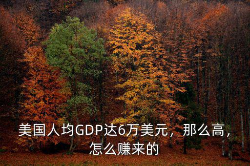 美國(guó)人均GDP達(dá)6萬(wàn)美元，那么高，怎么賺來(lái)的