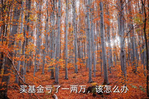 買基金虧了一兩萬，該怎么辦