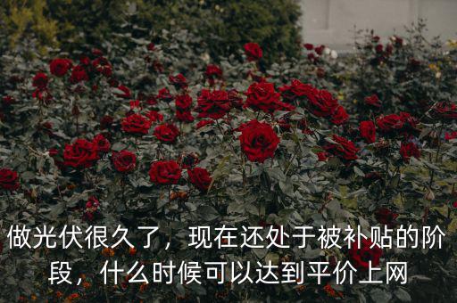 做光伏很久了，現(xiàn)在還處于被補(bǔ)貼的階段，什么時(shí)候可以達(dá)到平價(jià)上網(wǎng)