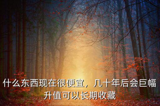 什么東西現(xiàn)在很便宜，幾十年后會巨幅升值可以長期收藏