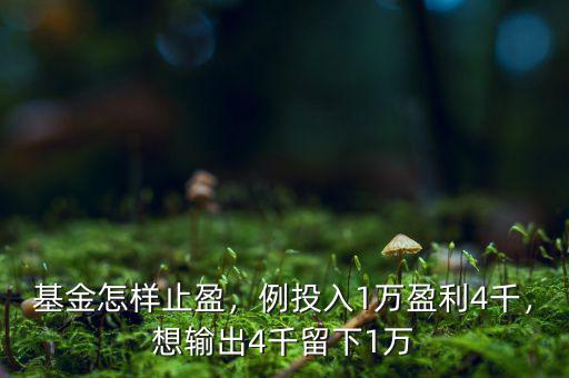 基金怎樣止盈，例投入1萬(wàn)盈利4千，想輸出4千留下1萬(wàn)
