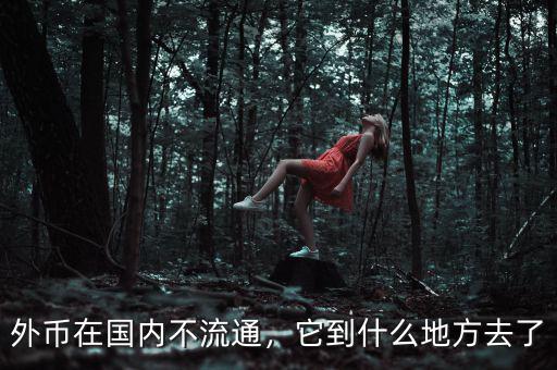 外幣在國內(nèi)不流通，它到什么地方去了