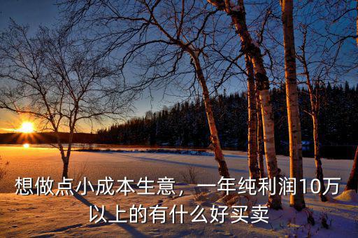 想做點(diǎn)小成本生意，一年純利潤(rùn)10萬(wàn)以上的有什么好買賣