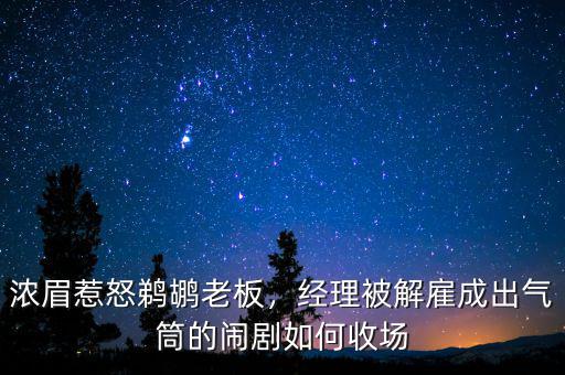 濃眉惹怒鵜鶘老板，經(jīng)理被解雇成出氣筒的鬧劇如何收?qǐng)? class=