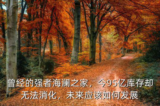 曾經(jīng)的強(qiáng)者海瀾之家，今95億庫存卻無法消化，未來應(yīng)該如何發(fā)展