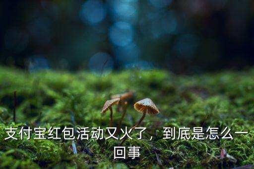 支付寶紅包活動又火了，到底是怎么一回事