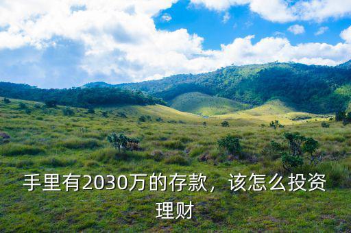 手里有2030萬的存款，該怎么投資理財(cái)
