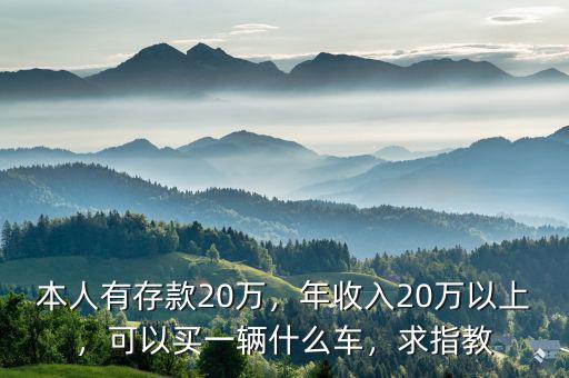本人有存款20萬，年收入20萬以上，可以買一輛什么車，求指教