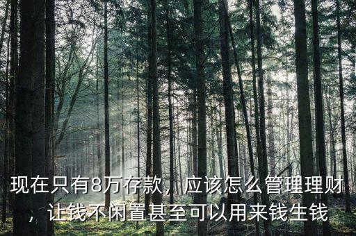 現(xiàn)在只有8萬存款，應該怎么管理理財，讓錢不閑置甚至可以用來錢生錢